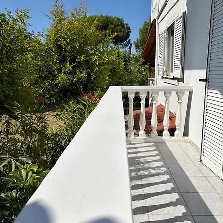 White Lotus Loft &